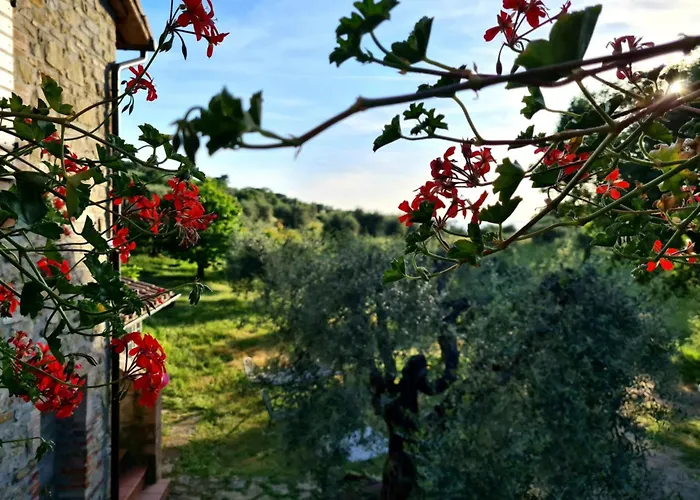 Profumo Di Salvia * Magione